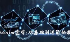 全面解析Tokenim宽带：从基